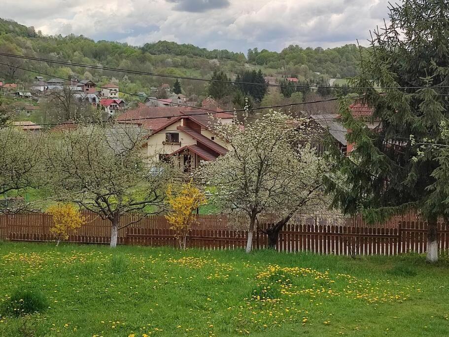 Cottage In Traditional Village Bradulet, Arges County Exterior foto