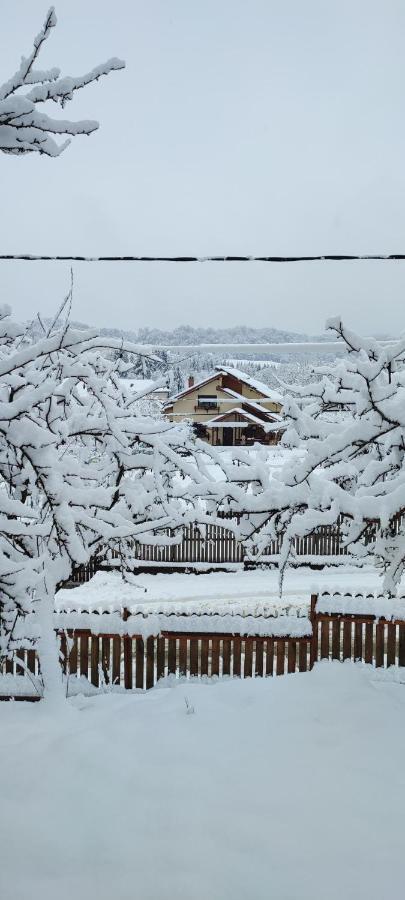 Cottage In Traditional Village Bradulet, Arges County Exterior foto